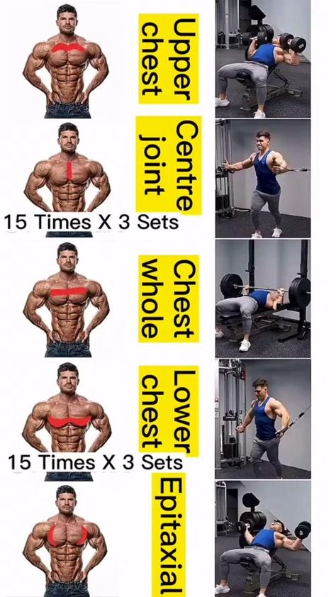 Gym Chest Workout, Chest And Back Workout, Chest Workout At Home, Chest Workout For Men, Chest Workout Routine, Gym Workout Guide, Latihan Dada, Best Chest Workout, Bodybuilding Workout Plan