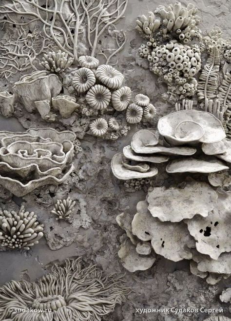 Drywall Art, Coral Sculpture, Coral Art, Ceramic Texture, Ocean Floor, Sculptures Céramiques, Tanah Liat, Keramik Design, Relief Sculpture