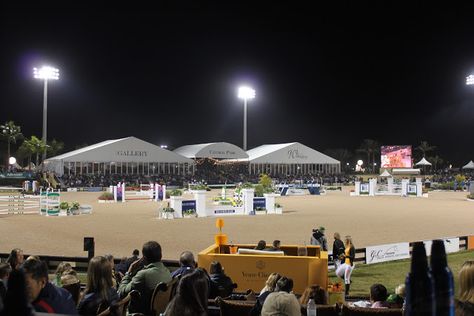 Wellington Florida Equestrian, Winter Equestrian Festival, Winter Equestrian, Goals 2024, Wellington Florida, Horse Things, Equestrian Center, Florida Style, Island Living