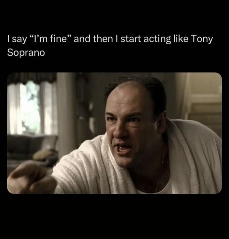 Sopranos Memes Funny, The Sopranos Meme, Tony Soprano Aesthetic, Sopranos Funny, Soprano Quotes, Tony Soprano Quotes, Sopranos Quotes, The Sopranos, Tony Soprano