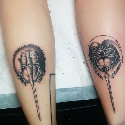 Horseshoe crabs by Kate DeCosmo at Euphoria Tattoos in Tallahassee Horseshoe Crab Tattoo, Euphoria Tattoo, Scientific Tattoo, Ocean Sleeve Tattoos, Crab Tattoo, Koi Tattoo Design, Brain Tattoo, Horseshoe Crab, Nautical Tattoo