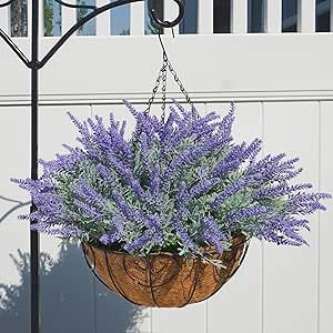 Petunia hanging baskets