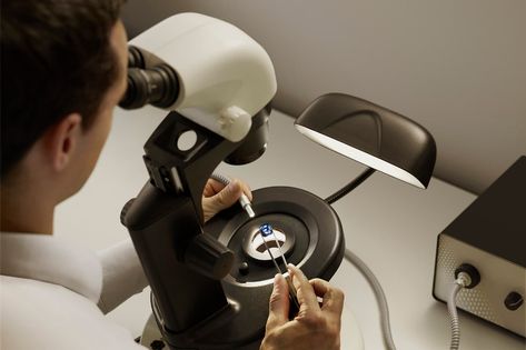 A sapphire is examined beneath a microscope at the Gübelin Gem Lab Simplistic Jewelry, Blood Ruby, Katerina Perez, Buying An Engagement Ring, Gem Diamonds, Jewelry Catalog, Colored Gems, Exclusive Jewelry, Jewelry Companies