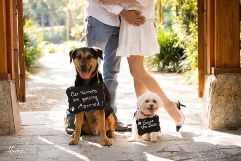 We customize adorable signs for your dog to wear to announce your engagement, the 'Save The Date' invitations, a proposal, or for your wedding! The possibilities are endless. What's cuter than your dog announcing your furever family to be? My Humans Are Getting Married, Here Comes The Bride Sign, Planning Outfits, Bride Sign, Pet Sitting Services, Wedding Tux, Wedding Help, Save The Date Photos, Wedding Pets