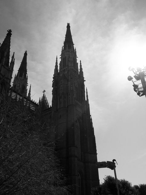 Catedral de La Plata - Argentina Plata Aesthetic, Art Ideas, Art, Argentina