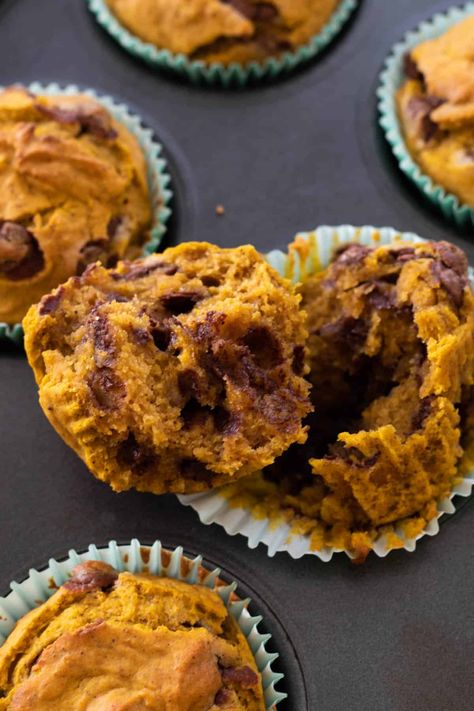 These Pumpkin Banana Muffins are the ultimate fall treat. All done in under 30 minutes with just a few simple steps. Loaded with pumpkin, pumpkin spice and banana flavors, and a lot of chocolate chips, they're a treat the whole family will love. Banana Muffins With Chocolate Chips, Banana Choc Chip Muffins, Muffins With Chocolate Chips, Fall Muffins, Pumpkin Banana Muffins, Mini Banana Muffins, Muffins With Chocolate, Mini Chocolate Chip Muffins, Pumpkin Chocolate Chip Muffins