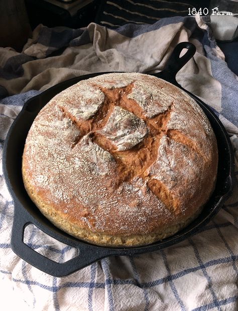 Rustic Cast Iron Skillet Bread Bread In Cast Iron Skillet, Bread In Cast Iron, Pan Bread Recipe, Cast Iron Skillet Bread, Iron Skillet Bread, Cast Iron Bread Recipes, Cast Iron Bread, Skillet Bread, Knead Bread Recipe