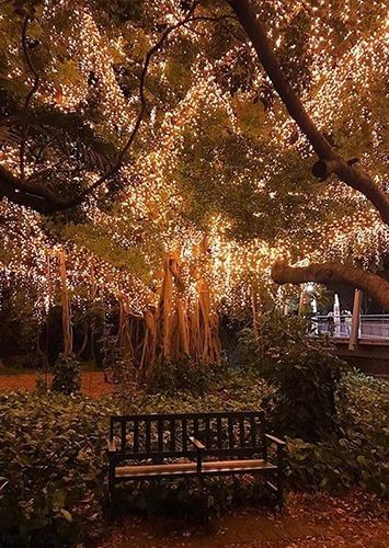 Garden Outfit, Enchanted Forest Wedding, Brisbane City, Fairy Wedding, Beer Garden, Forest Wedding, Jolie Photo, Nature Aesthetic, Pretty Places