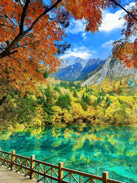 #jiuzhaigou #tour #travel #jiuzhaivalley #jiuzhaivalleynationalpark Jiuzhaigou National Park, Sightseeing Bus, Tourist Map, Map Travel, Natural Heritage, Vip Group, Chengdu, Natural Scenery, Group Tours