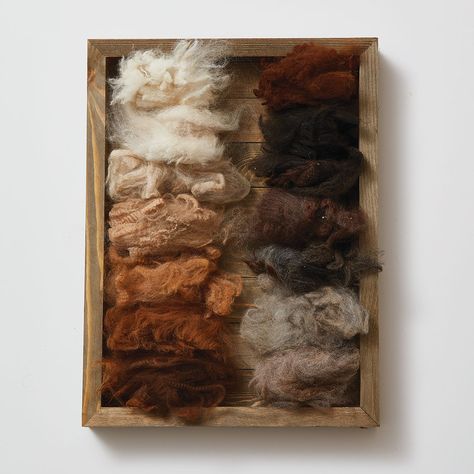 8 Ways to Spin Naturally Colored Alpaca Fiber | Spin Off Spinning Yarn Fiber, Tovad Ull, Alpaca Fleece, Alpaca Farm, Cute Alpaca, Spinning Wool, Farm Crafts, Suri Alpaca, Spinning Yarn