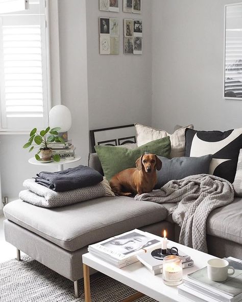 Cosy living area with L-shaped sofa and plenty of blankets Light Grey Sofa, Grey Painted Kitchen, Light Gray Sofas, Door Painting, Paint Collection, Grey Corner Sofa, Inflatable Furniture, Grey Sofa, Neutral Paint Color