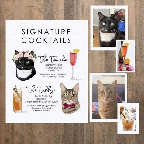 Cat Wedding Cocktail, How To Involve Cat In Wedding, Signature Cocktails Wedding Cat, Signature Wedding Drinks Cats, Cat Cocktails Wedding, Cat Signature Drink Wedding, Wedding Ideas With Cats, Cat Drink Menu Wedding, Cat Signature Drink Sign