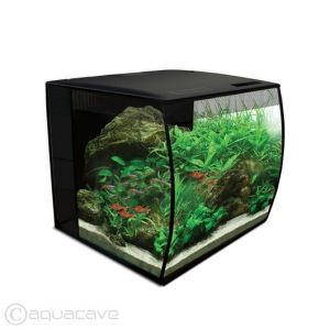 Fluval FLEX 34L Aquarium Kit - Black -9 gallon Small Tank Ideas, Beta Tank, 10 Gallon Fish Tank, Turtle Terrarium, Desktop Aquarium, Fishing Activities, Fish Accessories, Bird Cages For Sale, Aquarium Store