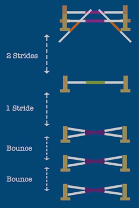 Horse Jump Exercises, Horse Jump Course Ideas, Grid Work For Horses, Horse Gymnastic Exercises, Jump Courses For Horses, Pole Work Exercises For Horses, Showjumping Course, Jumping Exercises For Horses, Pole Work For Horses