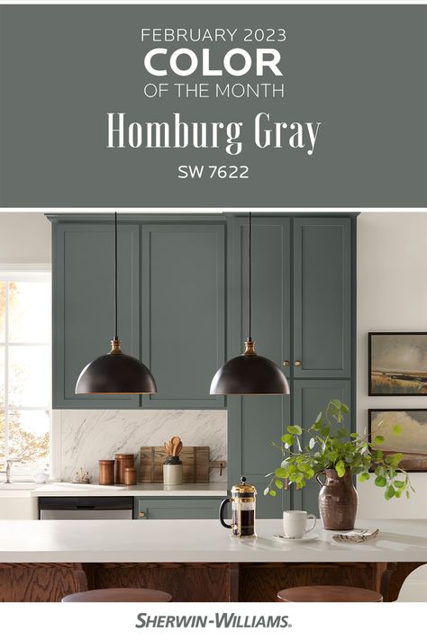 Moody Den, Kitchen Island Colors, Homburg Gray, Kitchen Remake, Grey Exterior House Colors, Paint Decor, Color Of The Month, Dark Grey Kitchen, Kitchen Green