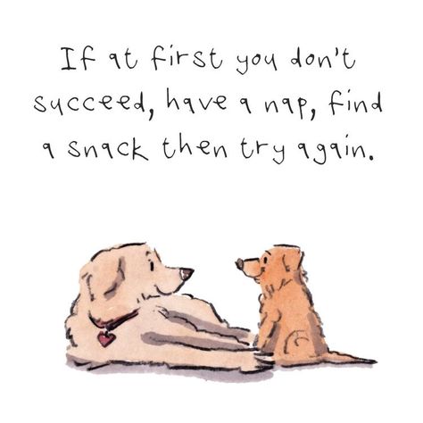 Iain Welch Art, Nice Sayings, Animals Quotes, Now Quotes, Dog Quote, Word Art Design, Funny Animal Quotes, Animal Quotes, Quotable Quotes