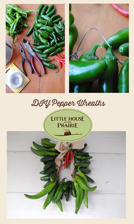 Peppers of many kinds were strung on twine or twisted into wreaths, as described by Laura in her first book. This is an old-fashioned DIY that has continued to be popular because of how beautiful it looks! Pepper Wreath Diy, Pepper Wreath, Little House On The Prairie Christmas, Pepper Harvest, Chili Peppers Decor, Fall Monograms, Scrapbook Calendar, Hanging Herbs, Little House On The Prairie