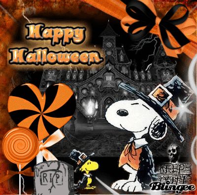 Happy Halloween Quotes, Happy Halloween Pictures, Great Pumpkin Charlie Brown, Image Halloween, Peanuts Halloween, Charlie Brown Halloween, Snoopy Funny, Snoopy Halloween, Snoopy Images