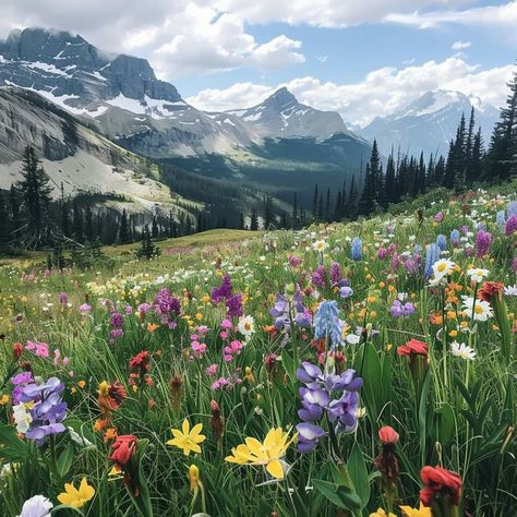 Rocky Mountain Wildflowers, Banff National Park Aesthetic, Wc Oc, Flowers Mountain, Mountain Wildflowers, Landscape References, Aesthetic Scenery, Dream Sequence, Mountain Meadow