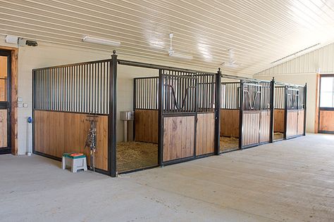 Amish Built Horse Stall | 12'x12' stall built by Amish in La… | Flickr Luxury Horse, Barn Layout, Horse Farm Ideas, Stall Fronts, Diy Horse Barn, Horse Barn Ideas Stables, Barn Stalls, Horse Barn Designs, Horse Shelter