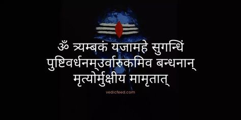 Maha Mrityunjaya Mantra - Summary and the Spiritual Significance Mantra Wallpaper, Meditation In Hindi, Rig Veda, Mantra Tattoo, Bhole Baba, Sanskrit Names, Indian Philosophy, Lord Mahadev, Lord Shiva Family