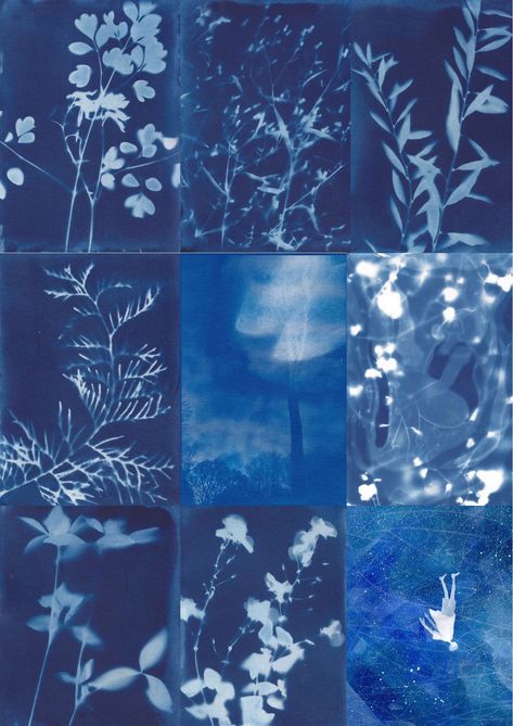 Rm Indigo Cyanotype, Indigo Rm Art, Cyanotype Aesthetic, Indigo Blue Aesthetic, Rm Indigo Wallpaper, Rm Indigo Aesthetic, Indigo Rm, Indigo Wallpaper, Cocoppa Wallpaper