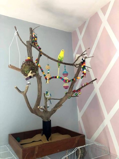 Bird Playground Diy, Budgie Cage Setup, Homemade Bird Toys, Diy Parrot Toys, Budgie Cage, Diy Bird Cage, Bird Cage Design, Diy Bird Toys, Parrot Stand