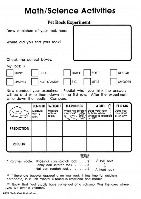 Inspired Teaching: Pet Rock Experiment Worksheet For 1st Grade, Rock Experiments, Rock Science, Montessori Teaching, Basic Science, Pet Rock, 1st Grade Science, First Grade Science, Homeschool Board