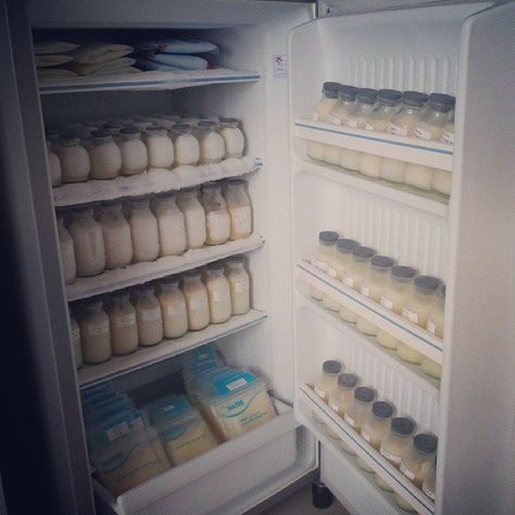 Pin for Later: 9 Supersimple Ways to Organize Your Breast Milk Stash In Bottles Breast Milk In Fridge, Breastmilk Storage Organization, Breast Milk Storage Guidelines, Bottle Fridge, Baby Bottle Storage, Medicine Cabinet Organization, Baby Storage, Breastmilk Storage, Fridge Storage