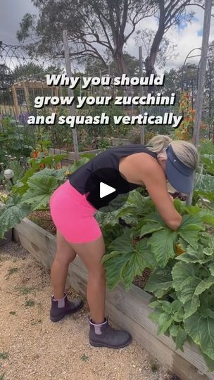 17K views · 1.2K reactions | Last season I posted about why growing zucchini and squash vertically was a game changer and you guys loved it but I had lots of questions about how to start. 
The best time is at the start. When transplanting your seedling it’s best to insert your stake first so you don’t damage the root system but if you forget like I did here just stick one in nice and close. Next using a soft tie, tie a figure right around the vine and stake to protect from rubbing and damage. Squash and zucchini grow super quick so you will need your tie it weekly, failing to do this can make it too top heavy causing the vine to snap. 
I find this method helps drastically with powdery mildew as well as saving space in my garden from sprawling vines that can take up a lot of space. Have you Zucchini And Squash, Squash And Zucchini, Growing Zucchini, Gardening Techniques, Powdery Mildew, Garden Harvest, Root System, Food Garden, Garden Trellis