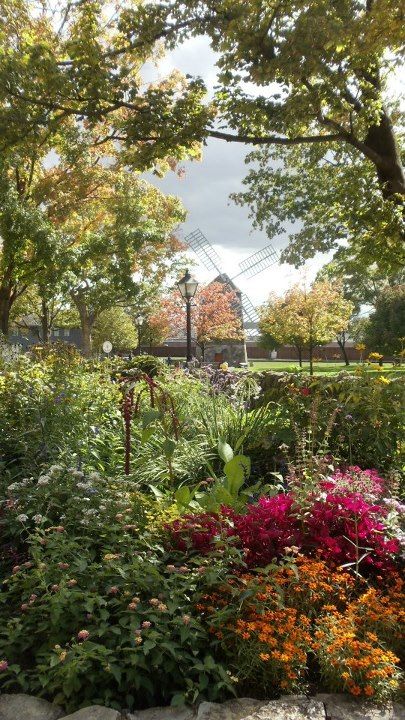 A view of the Farris Windmill from the Cotswold Cottage, at Greenfield Village (Michigan) Sept 23. taken by me. Greenfield Village Michigan, Greenfield Village, Cotswold Cottage, Back Doors, Www Pinterest Com, Fall Fun, Fireworks, Cute Wallpapers, Michigan