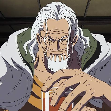 Silvers Rayleigh Icon, Rayleigh One Piece Icon, Rayleigh One Piece, Silvers Rayleigh, The Last Princess, One Piece Quotes, One Piece Man, Hottest Anime Characters, One Piece Comic