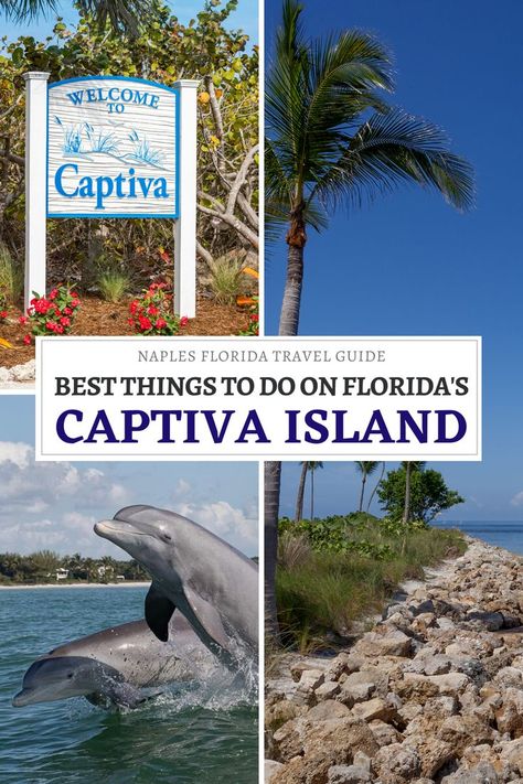 Are you planning to visit Captiva Island in Southwest Florida? In this guide to Captiva Island you'll discover all the top things to do on Captiva Island, boat tours, how to get there and so much more! Start planning your Captiva Island vacation today! I things to do in Florida I places to go in Florida I Florida travel I Captiva Island boat tours I Florida islands I USA travel I Florida vacation I where to go in Florida I Captiva Island day trips I #CaptivaIsland #Florida #SouthwestFlorida Places To Go In Florida, Florida Islands, North Captiva Island, Captiva Island Florida, Things To Do In Florida, Top Cruise, Florida Travel Guide, Florida Destinations, Everglades Florida