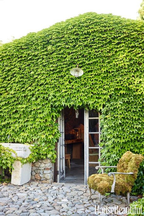 Ivy-Covered Exterior Antique Stone Sink, Farm House Dining Room, Patina Farm, French Bistro Chairs, Patio Roof, French Bistro, Bistro Chairs, The Ivy, Pergola Patio