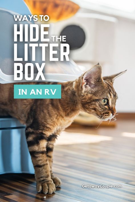 Yes, you can RV with cats. And yes, there are options for what to do with the cat litter box in an RV to make you and your cat comfortable. Clever Ways to Hide a Cat Litter Box in an RV Litter Box Smell, Fulltime Rv Living, Small Camper Vans, Hidden Litter Boxes, Litter Box Ideas, Litter Box Covers, Class A Motorhome, Cat Litter Box Enclosure, Nomadic Lifestyle