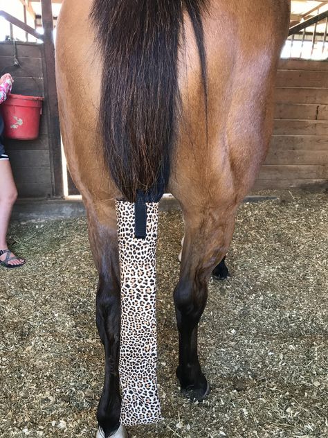 Check out these adorable equine tail bags from Classy Tails Co.! They even offer custom orders and can do large quanity for tack stores, awards, barns, you name it! #equine #horse #petcare #equinecare #horsehealth #mane #tail How To Make Tail Bags For Horses, Horse Tail Bags, Tail Bags For Horses, Horses Tack, Equine Care, Diy Horse, Western Bling, Tack Store, Barrel Racing Tack