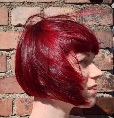 cherry red chin length bob with bangs Wine Red Short Hair, Red Bob Hairstyles, Chin Length Bob With Bangs, Short Red Hairstyles, Bright Red Hair Dye, Hair Inspo Wavy, Red Hair Cuts, Fun Hair Color Ideas, Red Ginger Hair