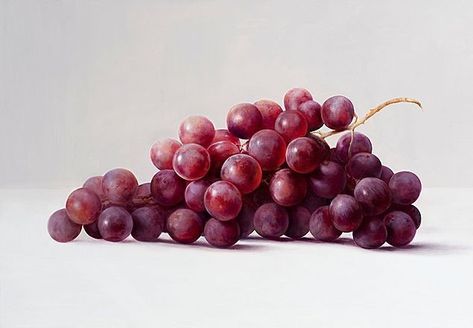 Grape Photography, Fruit Photography, Nature Drawing, Still Life Art, Painting Art Projects, Bottle Design, Botanical Art, Belgium, Still Life