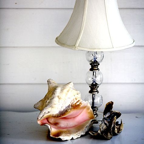 Seashell Garland, Big Shell, Shell Ideas, Conch Shells, Seashell Projects, Shell Lamp, Sea Shell Decor, House Beach, Shell Decor