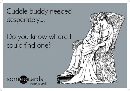 I Need A Cuddle Buddy Quotes, Snuggle Buddy Quotes, Cuddle Buddy Quotes, Cuddling Meme, Nap Meme, I Need Cuddles, Buddy Quote, Cuddle Quotes, Egypt Pyramids