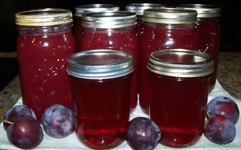 Homemade Plum Syrup - oh so nummy! Plum Desserts, Plum Syrup, Plum Juice, Provident Living, Super Tips, Syrup Recipes, Canning Fruit, Plum Recipes, Garden Fruit