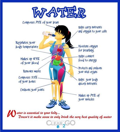 We all know that we need to drink more water...but do you know why? I not only want to share why staying hydrated is so important but also my best tips, tricks, and fun ways to get more water into your body every single day! Why Drink Water, Importance Of Drinking Water, Water Facts, Importance Of Water, Benefits Of Drinking Water, Water Benefits, Drink More Water, Nutrition Education, Sciatica