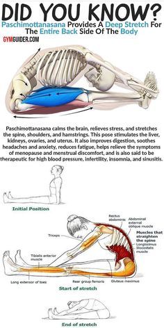 It is a known fact that most people sit for way too long. Not only that but they tend to sit with bad postureThe slouched shoulders forward head posture rounding of the back or excessive arching of the low back.Over time these bad postures cause aches and pains in your body. But the good news is that you can do simple exercises to improve your posture and manage your back pain. Train your core and align your spine at the same time! Posture Correction Exercises, Core Workout Routine, Stronger Core, Forward Head Posture, Lower Back Pain Exercises, Gym Workout Chart, Posture Exercises, Improve Your Posture, Core Exercises