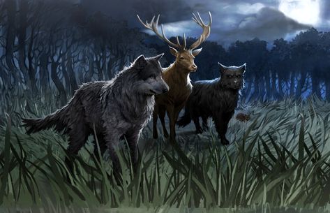 Marauders fan art (full moon) (animagus) (not mine) Sirius Black Dog, Ron E Hermione, Lupin Harry Potter, Walburga Black, Film Harry Potter, Harry Potter Wiki, Marauders Fan Art, Gellert Grindelwald, Desenhos Harry Potter