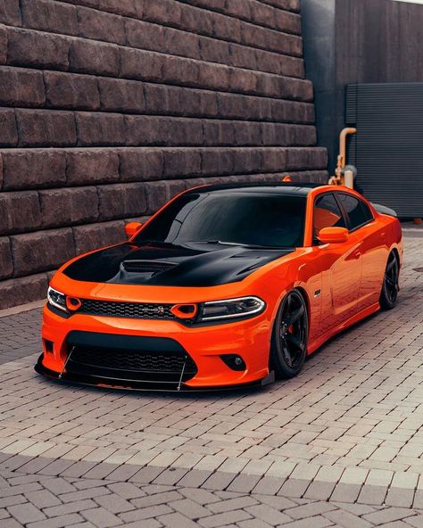 Is it getting hot in here? 🥵 #ThatsMyDodge 📸: @mango_menace_392 & @s550.nelson #Dodge #DodgeCharger #Charger #ScatPack #392 #DodgeGarage Orange Charger, Dodge Challenger Custom, Dodge Charger Hellcat, Charger Srt Hellcat, Dodge Charger Daytona, Dodge Charger Srt, Charger Srt, Dodge Muscle Cars, Car Organization