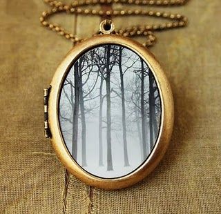 love The Bling Ring, Snow Art, Photo Locket Necklace, Photo Locket, A Necklace, Fine Art Photo, A Mirror, Locket Necklace, Craft Inspiration