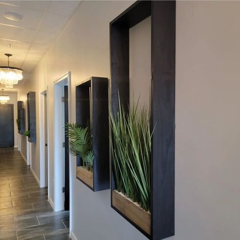 Indoor Plant boxes Coffee Shop Plant Wall, Business Entryway Ideas, Wall Cubby Decor, Plant Wall Ideas Indoor, Office With Plants, Indoor Plant Wall, Wall Inspiration, House Plants Decor, Wall Decor Design