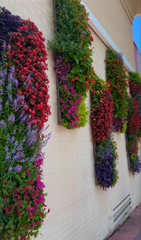 Hanging Plants Backyard, Wall Hanging Plants Outdoor Garden Ideas, Vertical Garden Wall Outdoors, Garden Wall Decor Ideas, Aesthetic Gardens, Wall Garden Ideas, Vertical Succulent Gardens, Garden Wall Designs, Plants Aesthetic