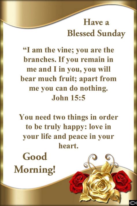 Sunday Morning Scripture, Sunday Bible Verse, Wonderful Day Quotes, Sunday Morning Prayer, Morning Verses, Blessed Sunday Morning, Good Morning Scripture, Blessed Sunday Quotes, Good Morning Bible Verse