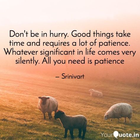 Don't be in hurry. Good things take time and requires a lot of patience. Whatever significant in life comes very silently. All you need is patience Copycats Quotes People, Copycat People, Quotes For Copycat People, Event Quotes, Be Patience, Things Take Time, Good Things Take Time, Love Deeply, Mental And Emotional Health